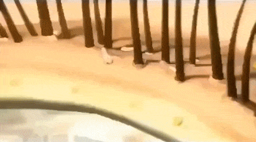 ”入冬洗头干发神器！养出女明星绸缎发！冰球突破豪华版手机版国产变态“抽水帽(图16)